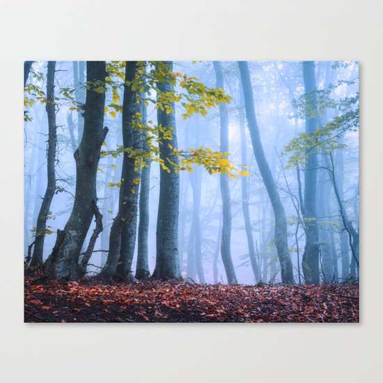 Mysterious Woods Canvas Print