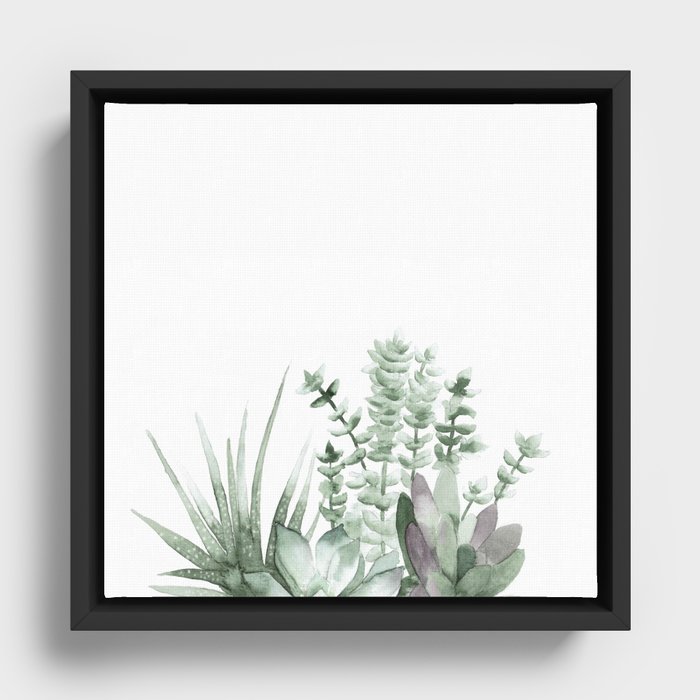 Succulent Framed Canvas
