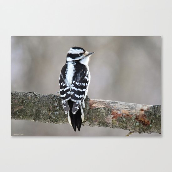 Stunning in Black and White Canvas Print