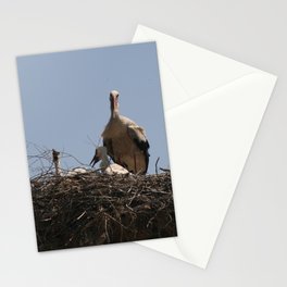 She Stork and Fledgling Baby Storks Photograph Stationery Card