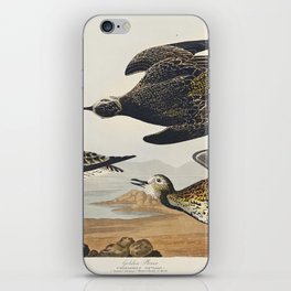 Golden Plover from Birds of America (1827) by John James Audubon, etched by William Home Lizars. iPhone Skin