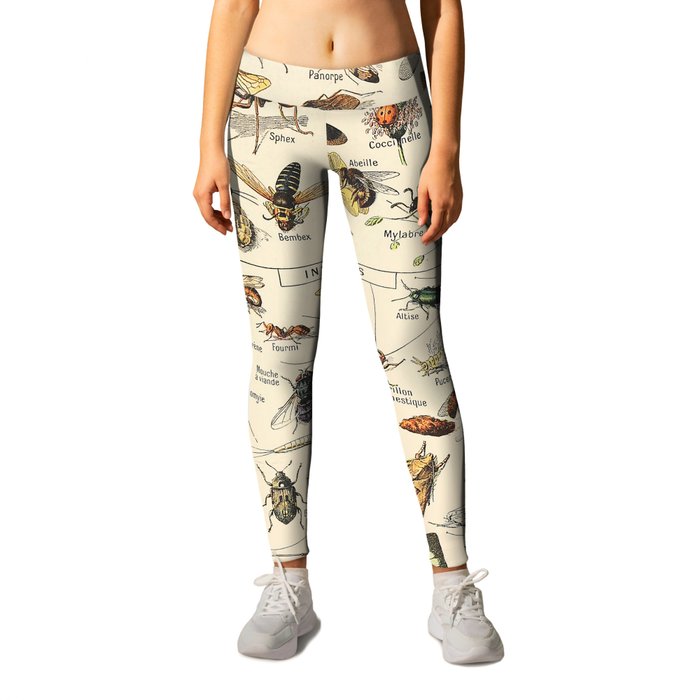 Insect Vintage Science Chart Leggings