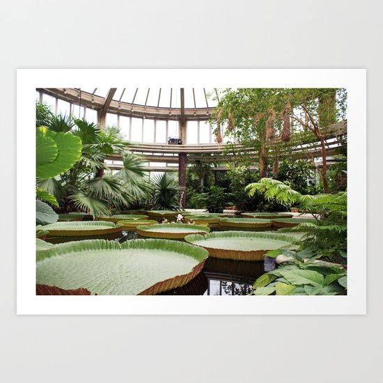2009 - Winter Garden Art Print