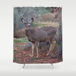 Zion Deer - National Park, Utah Shower Curtain