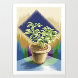 A pot in my small space Art Print