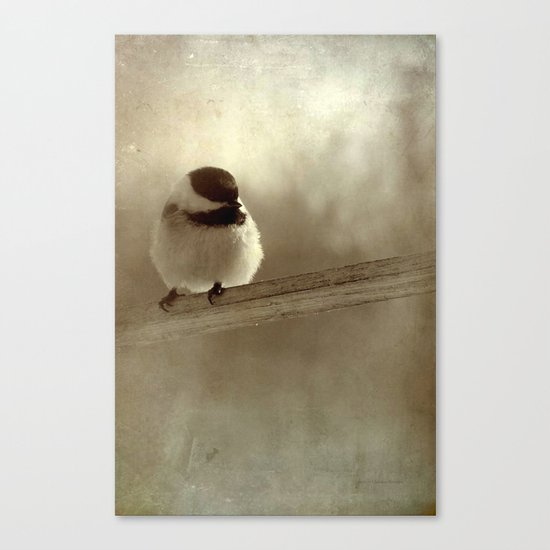 Perched Canvas Print