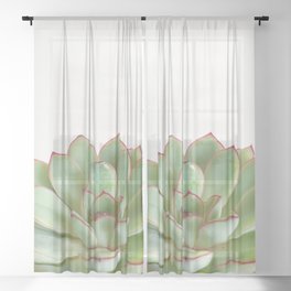 Green Succulent Sheer Curtain