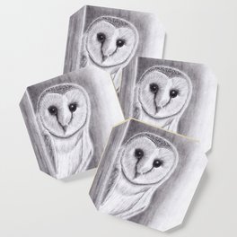 Barn Owl Pencil Drawings Coaster