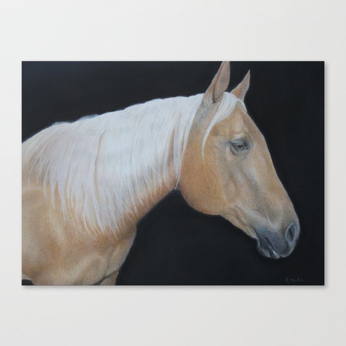 Palomino Horse Canvas Print