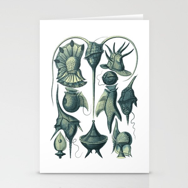 Ernst Haeckel Peridinea Plankton Algae Teal Stationery Cards