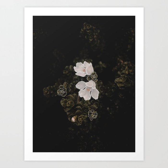 Illustrated Series - New Zealand Flora Art Print