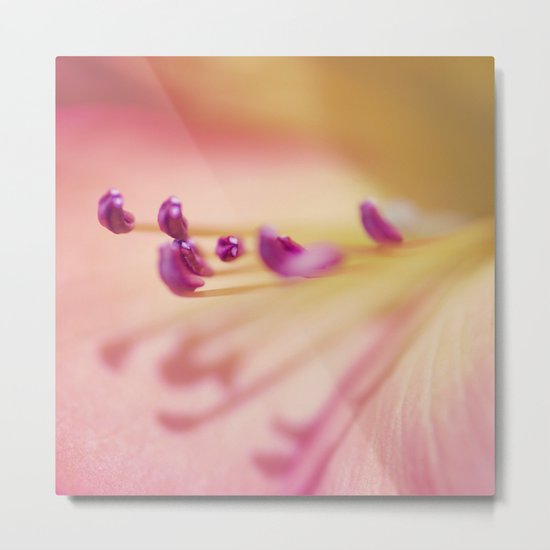 Shadows from the Pale Metal Print