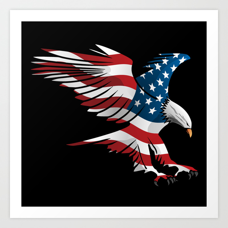 Eagle and the American Flag Picture Poster Animal USA Bird Art Framed Print 