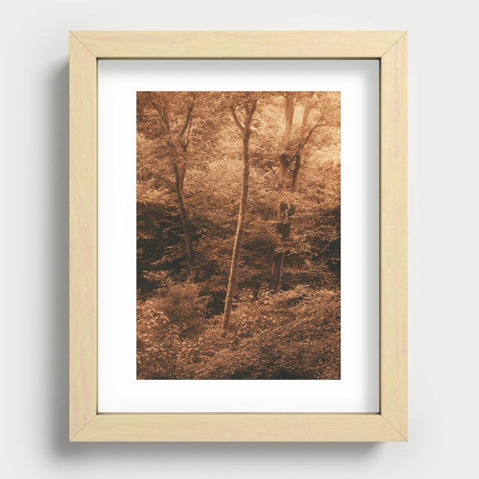 Blackford Hill. Silver Light Recessed Framed Print