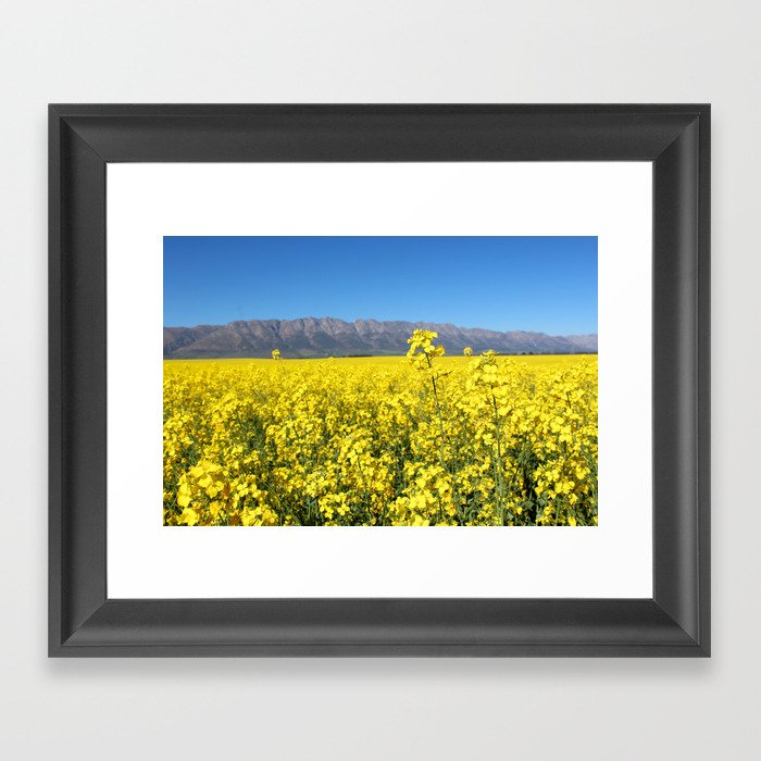 Fields of Rape Framed Art Print