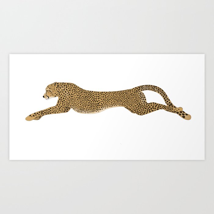 Cheetah Kunstdrucke