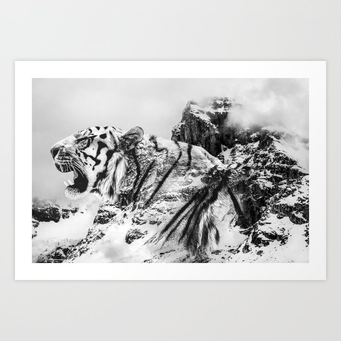 Tiger B W Wild Mountain Abstract Landscape Animal