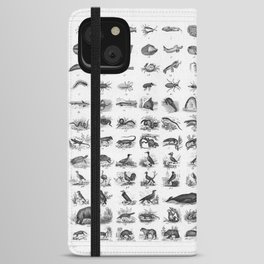 1857 Diagram Zoology: Animals iPhone Wallet Case