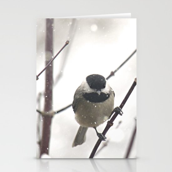 Chickadee in Winter Stationery Cards