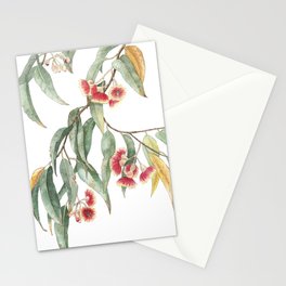 Flowering Eucalyptus Branch Stationery Cards