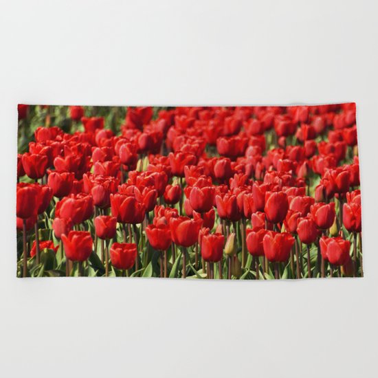 Tulips field #4 Beach Towel