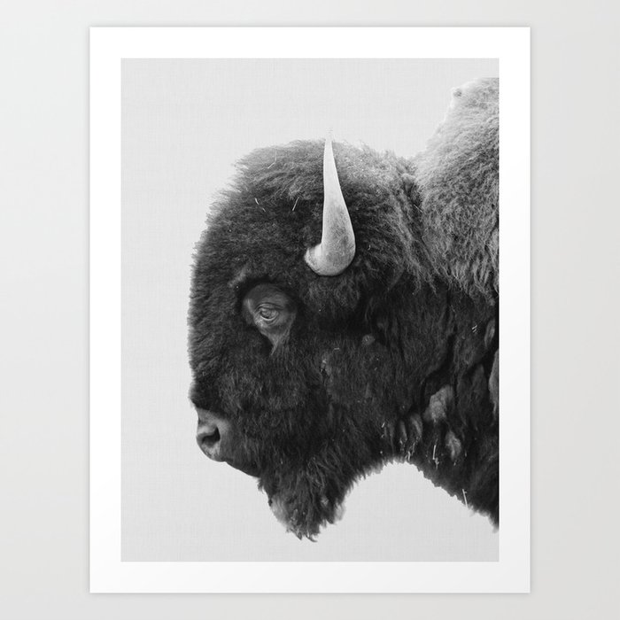 buffalo profile Art Print