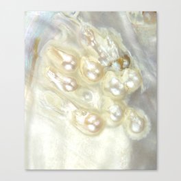 Shimmery Pearly Abalone Shell Canvas Print