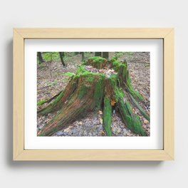 Heart of the Forest Recessed Framed Print