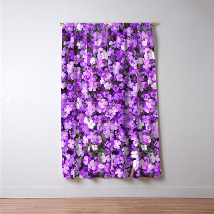 Pretty Purple Flowers Purple Ground Cover Beautiful Flowers