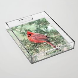 Christmas Bird: Northern Cardinal Acrylic Tray