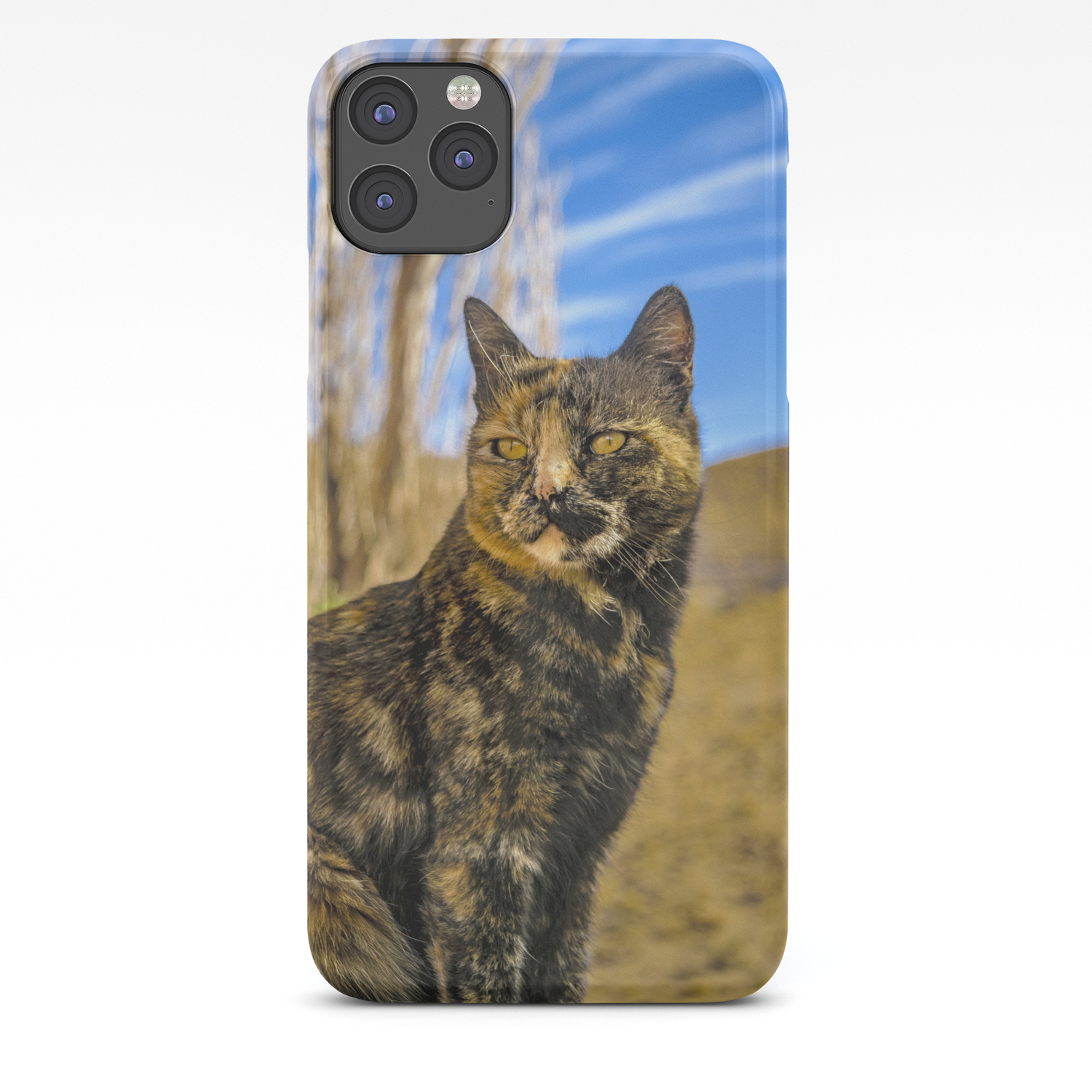 SEATED GRAY TABBY iphone 11 case SEATED GRAY TABBY iphone 11 case