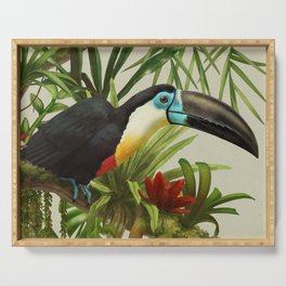 Channel- billed toucan vintage illustration. Serving Tray