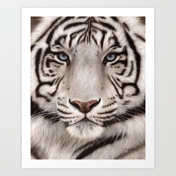 White Tiger Painting Art Print By Rachelstribb Society6