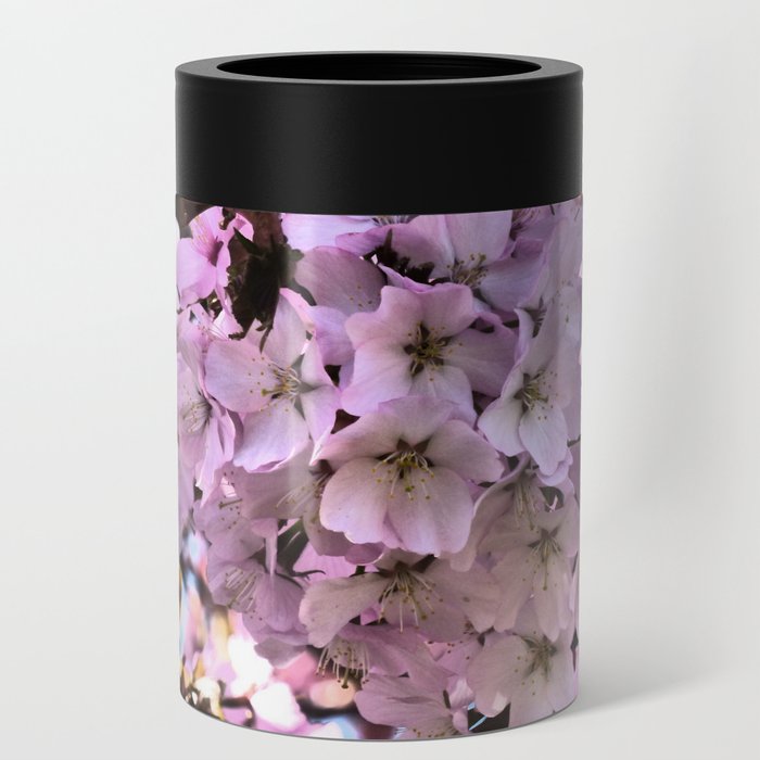 Spring Pink Cherry Blossom in I Art Can Cooler