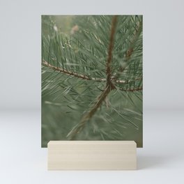 pine tree composition no.1 Mini Art Print