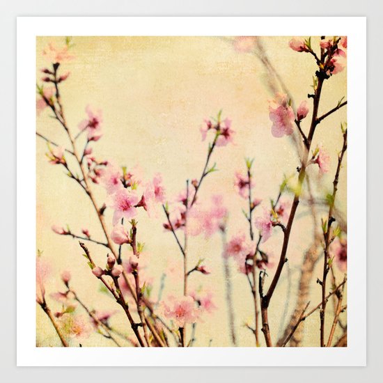 Springtime Art Print