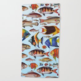 Colorful fish in the ocean Beach Towel