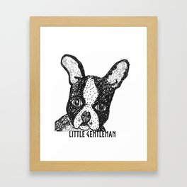 Boston terrier - Little gentleman Framed Art Print
