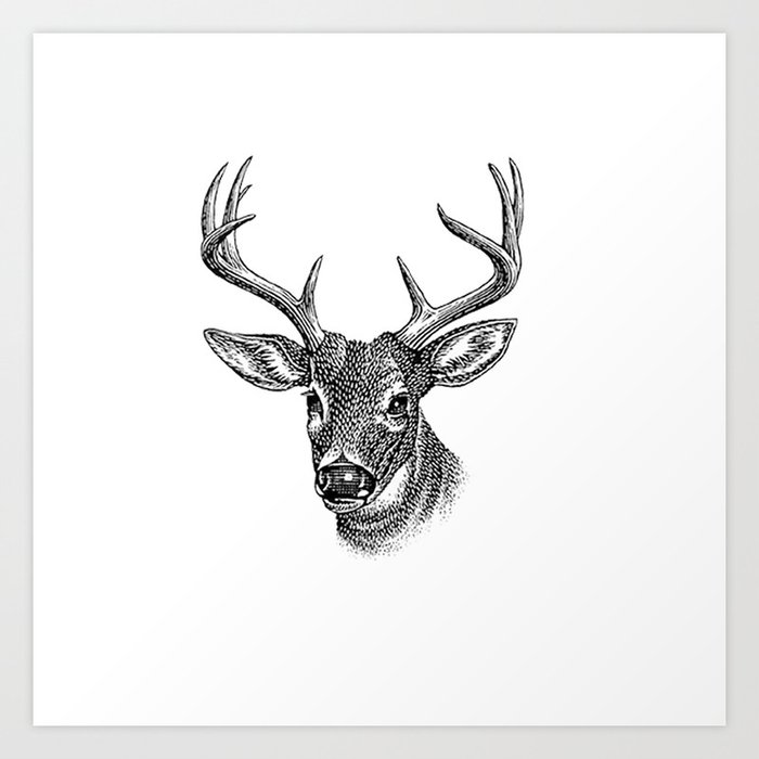 A deer 5 Art Print