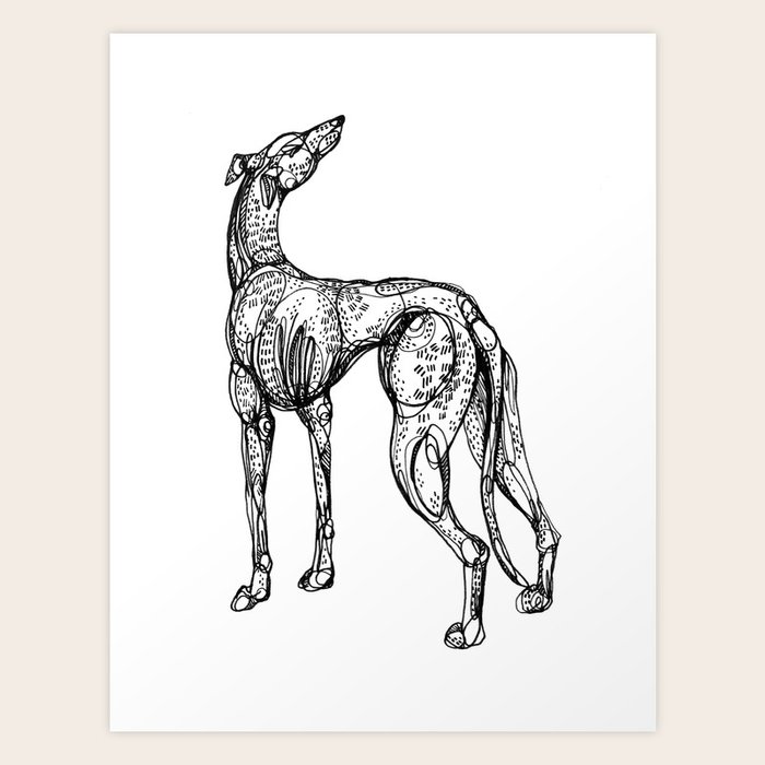 Whippet Art Print By Inkedinred Society6 Whippet art original drawings, prints and custom art available now on etsy. whippet art print by inkedinred