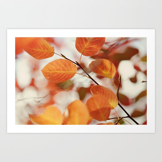 The Color of Autumn Art Print