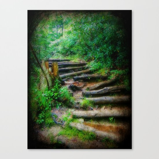 Follow Me to an Adventure Canvas Print