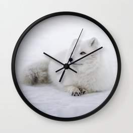 White snow arctic fox Wall Clock
