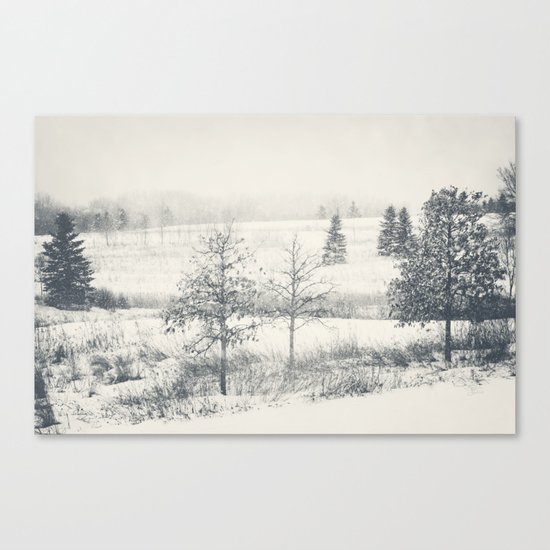 Winter Blues Canvas Print