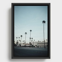 Palm Springs VI Framed Canvas