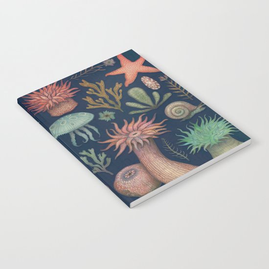 Aequoreus Vita Notebook
