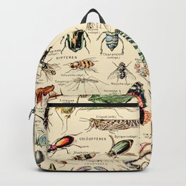 Vintage Insect Identification Chart // Arthropodes by Adolphe Millot XL 19th Century Science Artwork Backpack