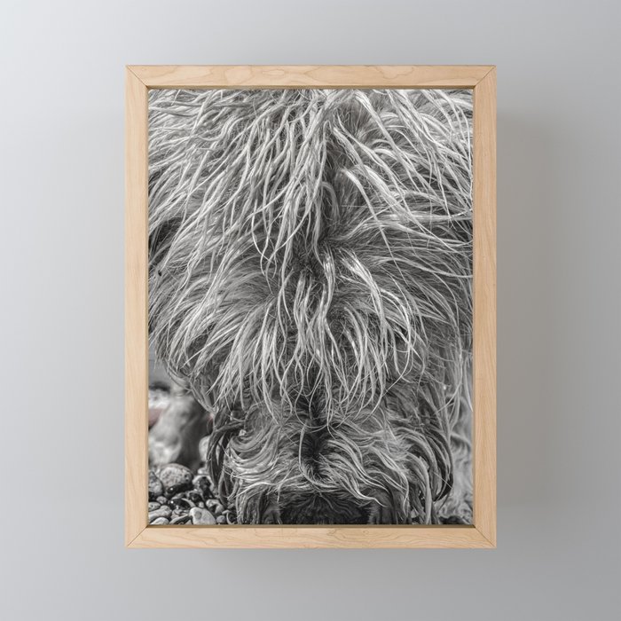 Fur Framed Mini Art Print