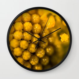 Here comes the sun Wall Clock