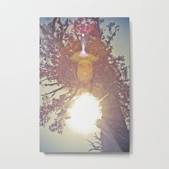 natural Metal Print